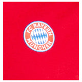 2024-2025 Bayern Munich DNA Polo Shirt (Red)_1