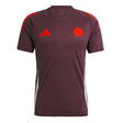 2024-2025 Bayern Munich Training Tee (Shadow Maroon)_1
