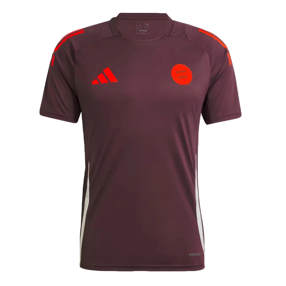 2024-2025 Bayern Munich Training Tee (Shadow Maroon)_1