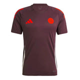 2024-2025 Bayern Munich Training Tee (Shadow Maroon)_1