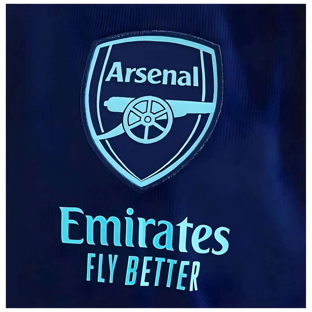 2024-2025 Arsenal Polo Shirt (Night Sky)_1