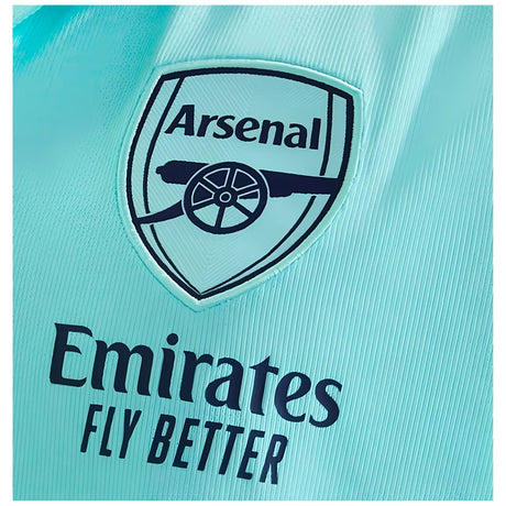 2024-2025 Arsenal Polo Shirt (Clear Aqua)_1
