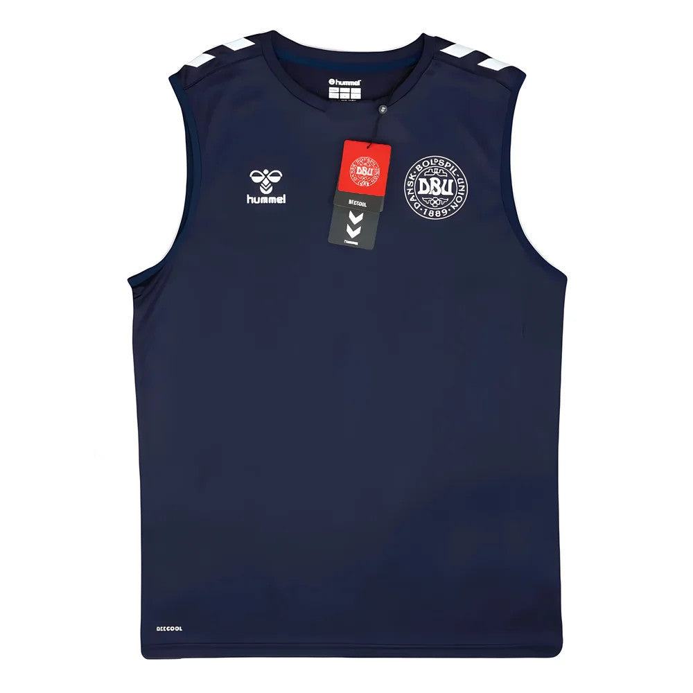 2024-2025 Denmark Sleeveless Training Jersey (Marine)_1