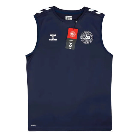 2024-2025 Denmark Sleeveless Training Jersey (Marine)_1