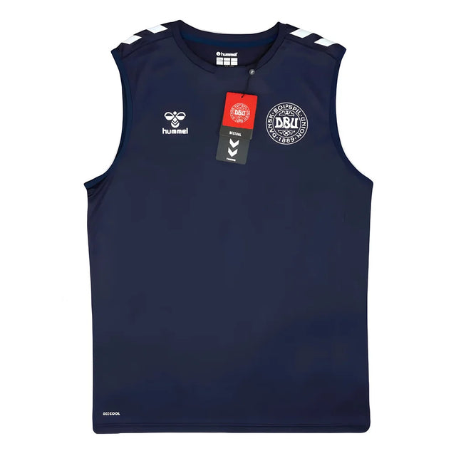 2024-2025 Denmark Sleeveless Training Jersey (Marine)_1