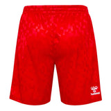 2024-2025 Denmark Away Shorts (Red)_1