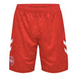 2024-2025 Denmark Away Shorts (Red)_1