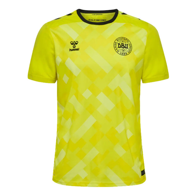 2024-2025 Denmark Home Goalkeeper Shirt (Yellow)_1
