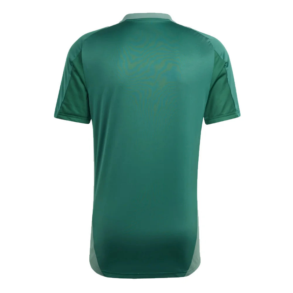 2024-2025 Algeria Training Jersey (Green)_2