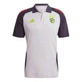 2024-2025 Benfica Polo Shirt (Grey)_0