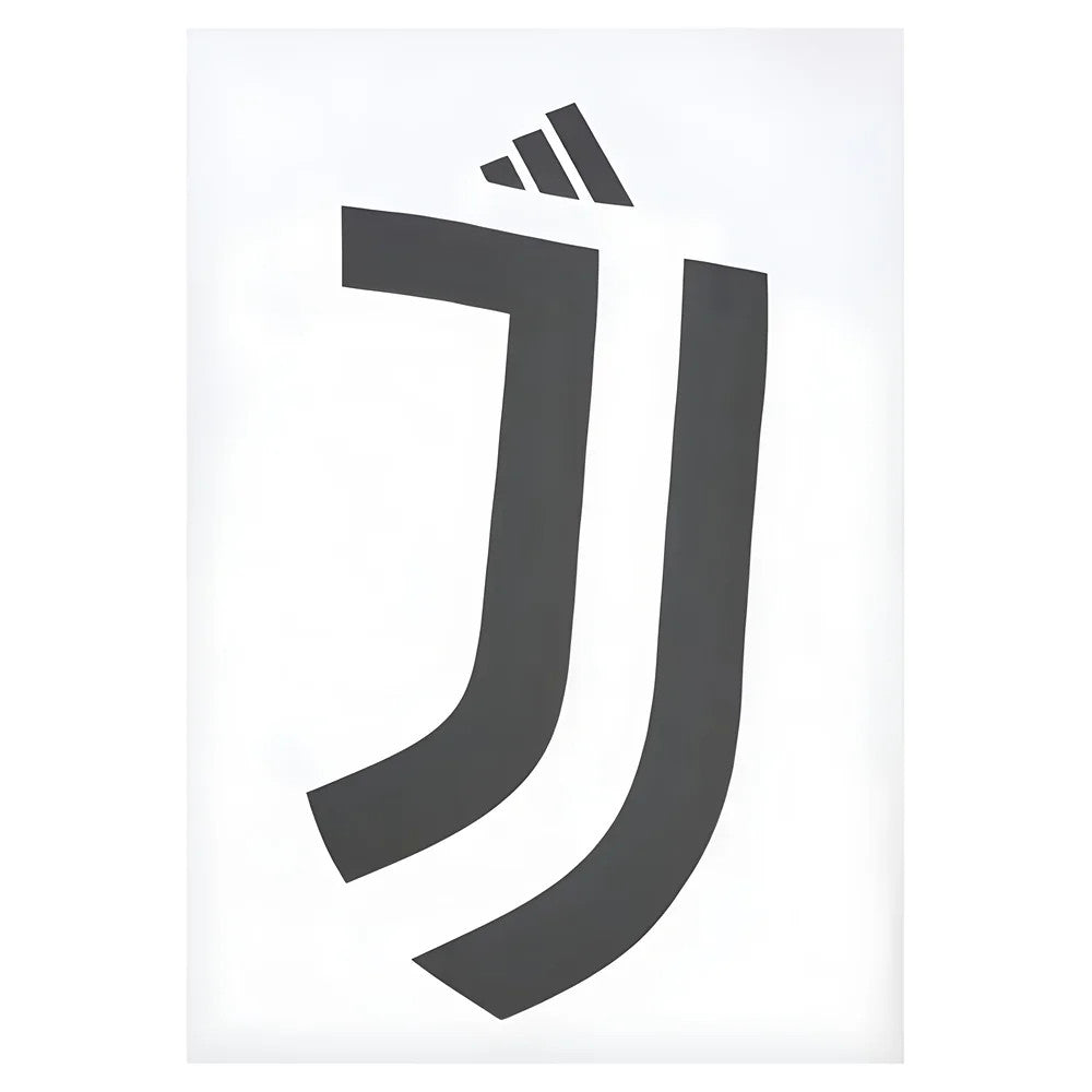 2024-2025 Juventus DNA Graphic Tee (White)_2