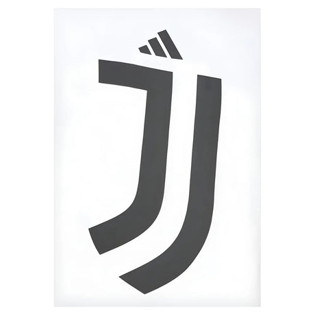 2024-2025 Juventus DNA Graphic Tee (White)_2