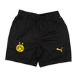2024-2025 Borussia Dortmund Training Shorts (Black)_1