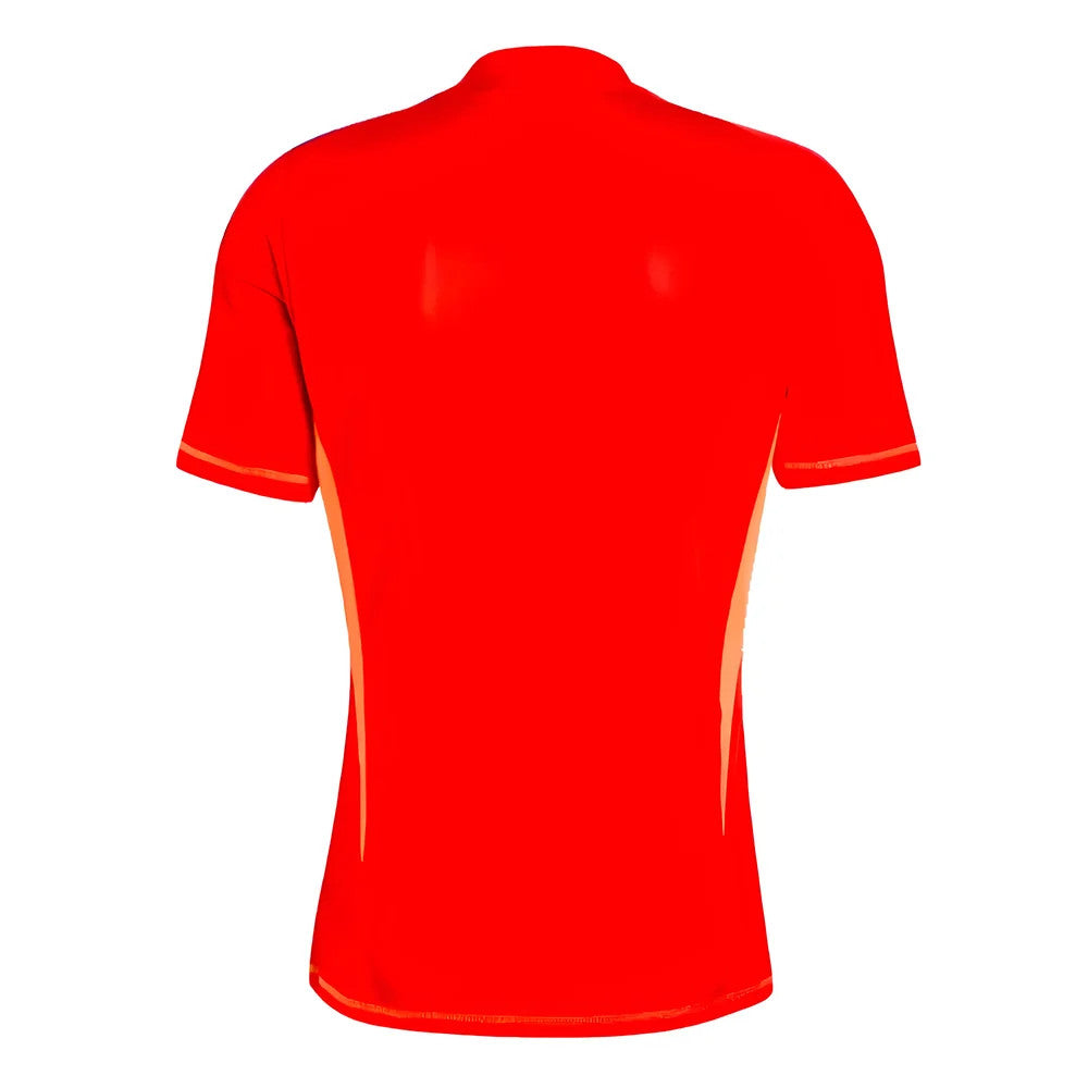 2024-2025 Juventus Home Goalkeeper Shirt (Red)_1