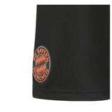 2024-2025 Bayern Munich Away Shorts (Black)_1