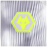 2024-2025 Wolves Players Training Shirt (Grey)_3