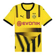 2024-2025 Borussia Dortmund Cup Shirt_1