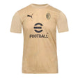 2024-2025 AC Milan Pre-Match Shirt (Putty)_1