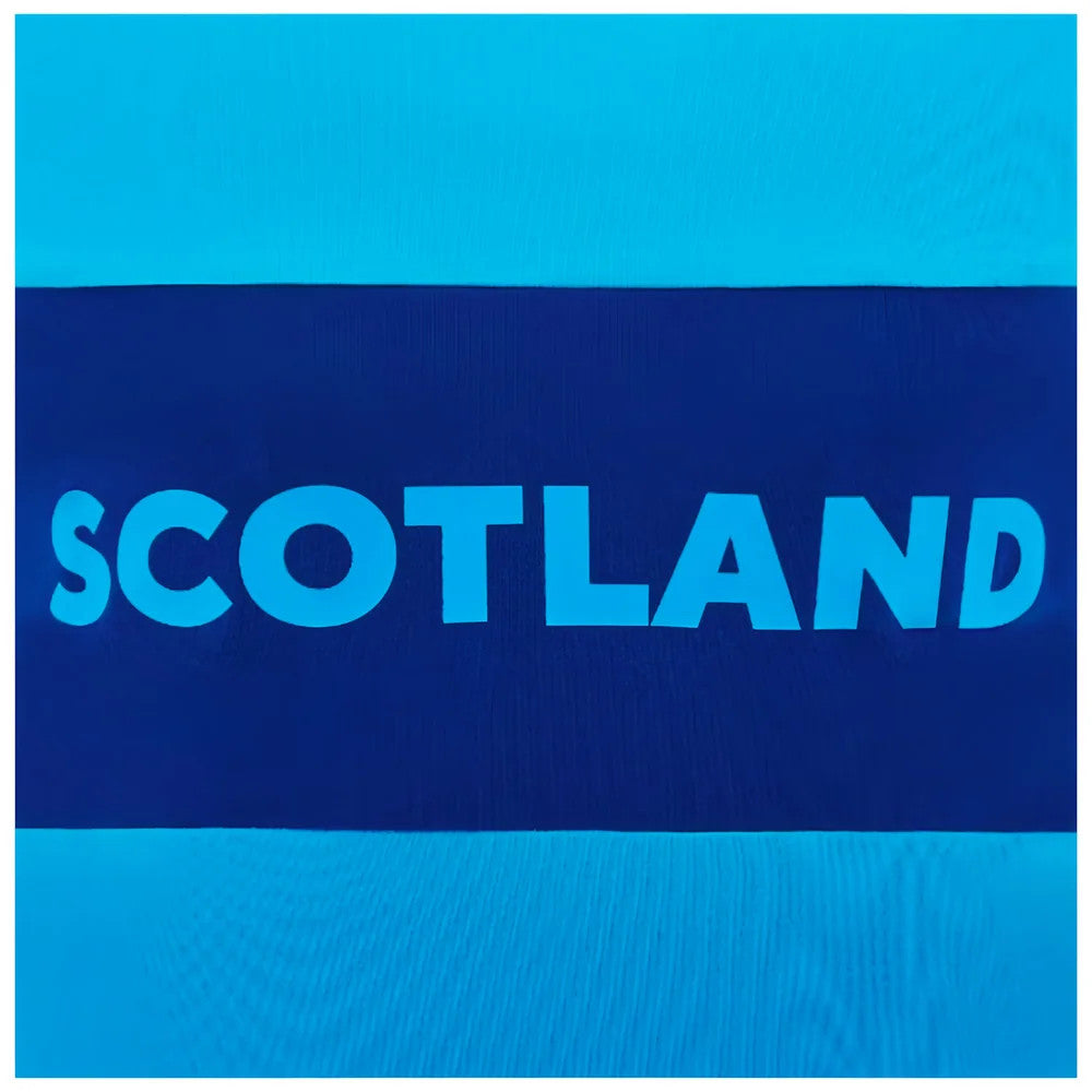2024-2025 Scotland Rugby Leisure Cotton T-Shirt (Sky Blue) - Kids_3