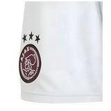 2024-2025 Ajax Third Shorts (Clear Grey)_1