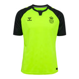 2024-2025 Real Betis Away Shirt_2