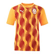 2024-2025 Galatasaray Pre-Match Shirt (Orange)_2