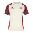 2024-2025 Bayern Munich EU Training Jersey (Linen)_2