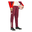 2024-2025 Bayern Munich EU Wind Pants (Shadow Red)_1