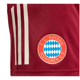 2024-2025 Bayern Munich EU Training Shorts (Shadow Red)_1