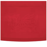 2024-2025 Wales WRU Home Replica Rugby Shirt (Womens)_2