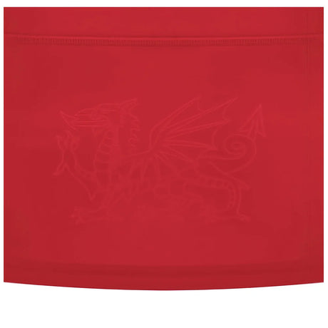 2024-2025 Wales WRU Home Replica Rugby Shirt (Womens)_2