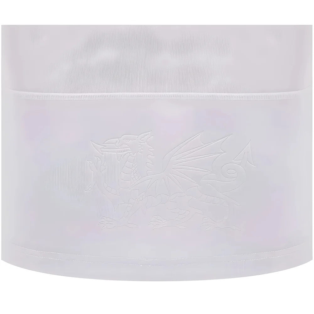 2024-2025 Wales Away Cotton Rugby Shirt (Kids)_2