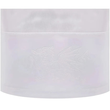 2024-2025 Wales Away Cotton LS Rugby Shirt_2