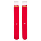 2024-2025 Wales WRU Rugby Home Socks (Red)_1