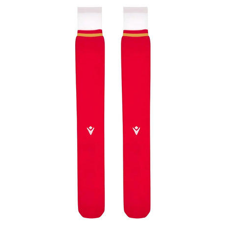2024-2025 Wales Rugby Home Socks (Kids)_1