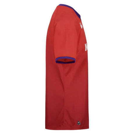 2024-2025 Fiorentina Third Shirt_2