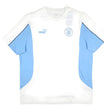 2024-2025 Man City ftblARCHIVE Tee (White)_0