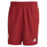 2024-2025 Arsenal UBP Shorts (Noble Maroon)_0