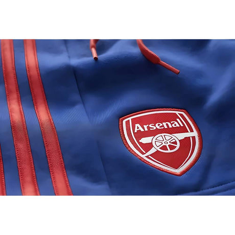 2025-2026 Arsenal DNA Shorts (Victory Blue)_1